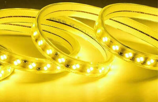 LED Strip Light Waterproof AC220V SMD 5730 Flexible IP66
