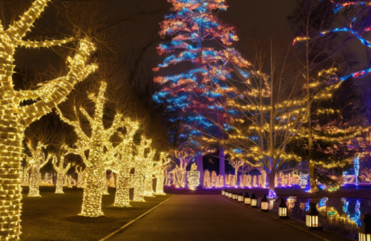 led-strips